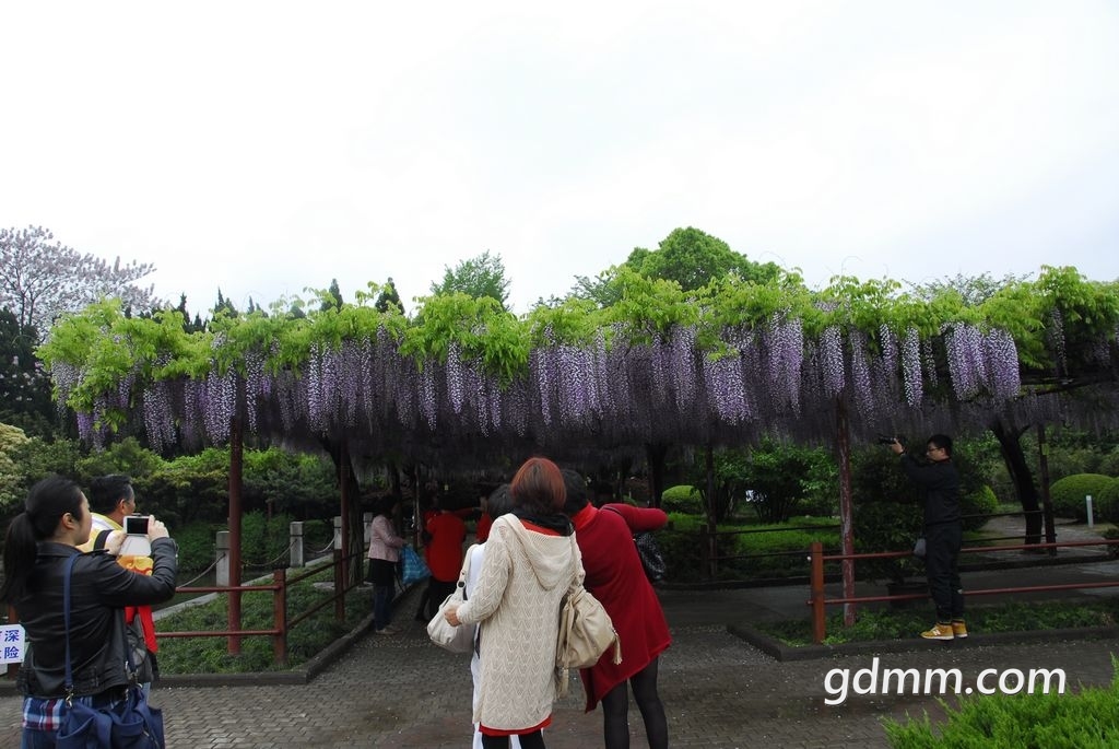 38.jpg