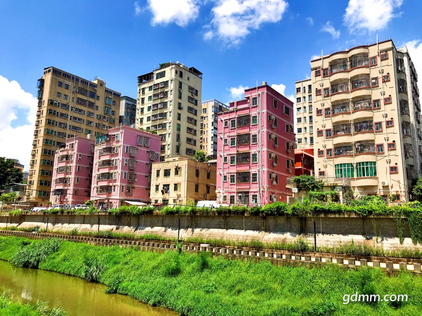 深圳的农村真不像农村