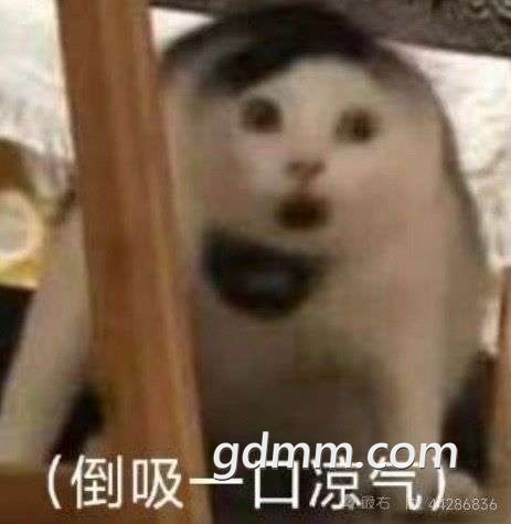 20220723235827front2_0_3380318_FrSivhZOlFLytAb4GSK1cCc9KI8D.jpg