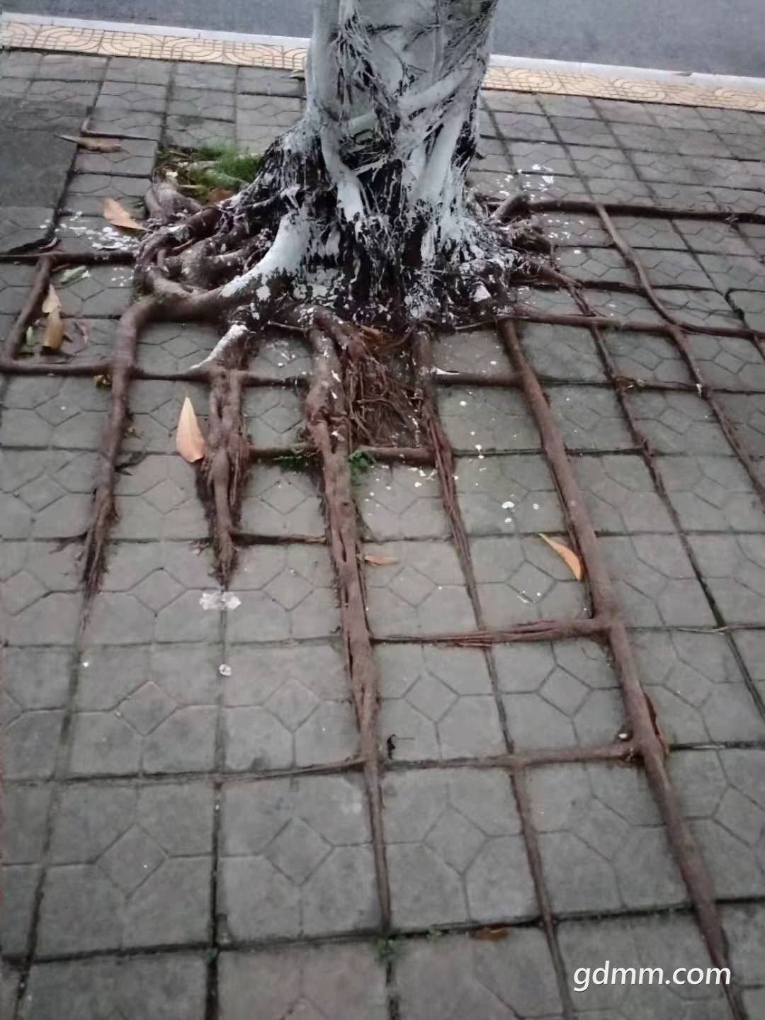 ΢��ͼƬ_20220725140255.jpg