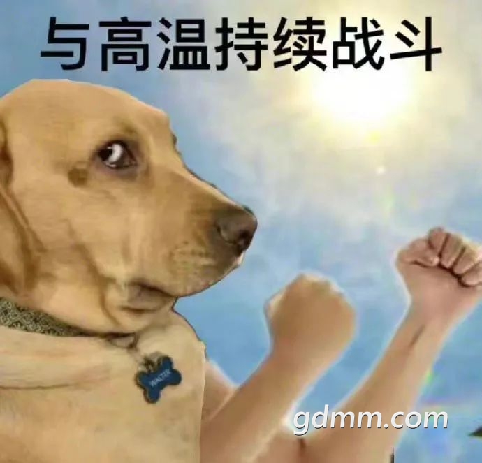 105503zjzw6iljwj65less.jpeg