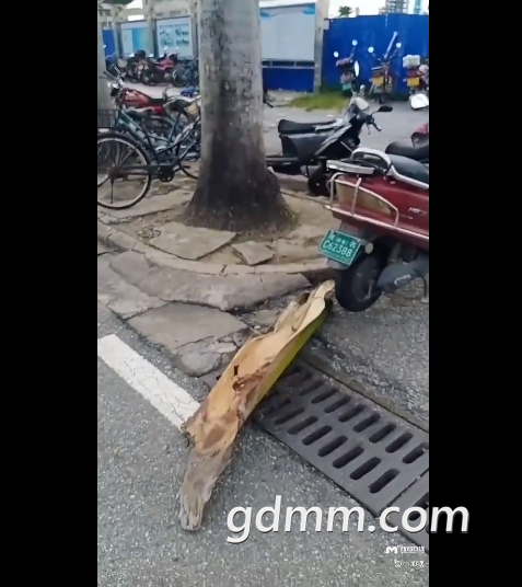 ΢�Ž�ͼ_20220421174302.png