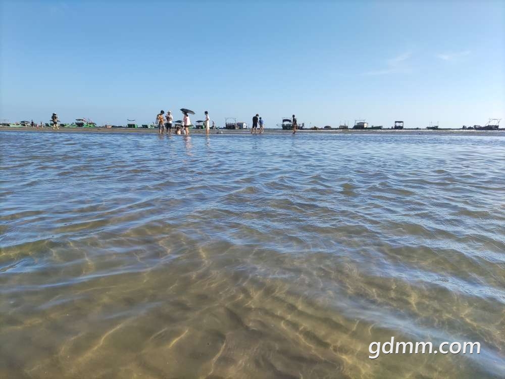 西葛沙滩-茂名论坛-话说茂名