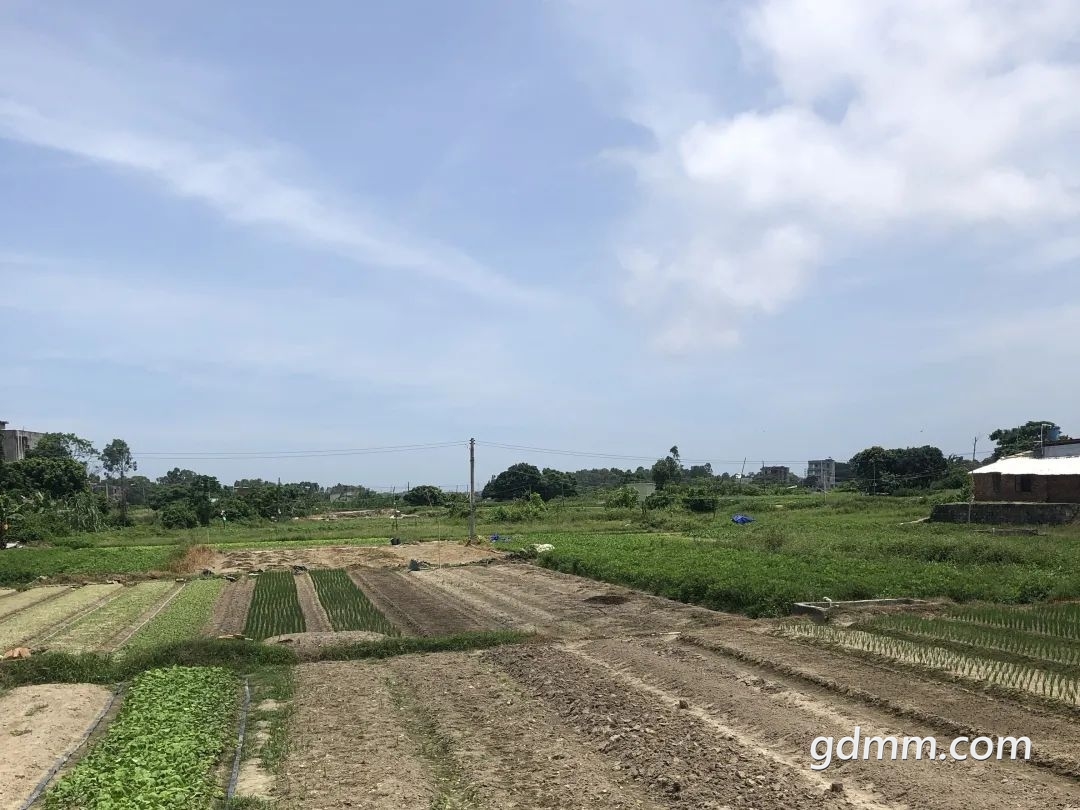 640 (5).jpg