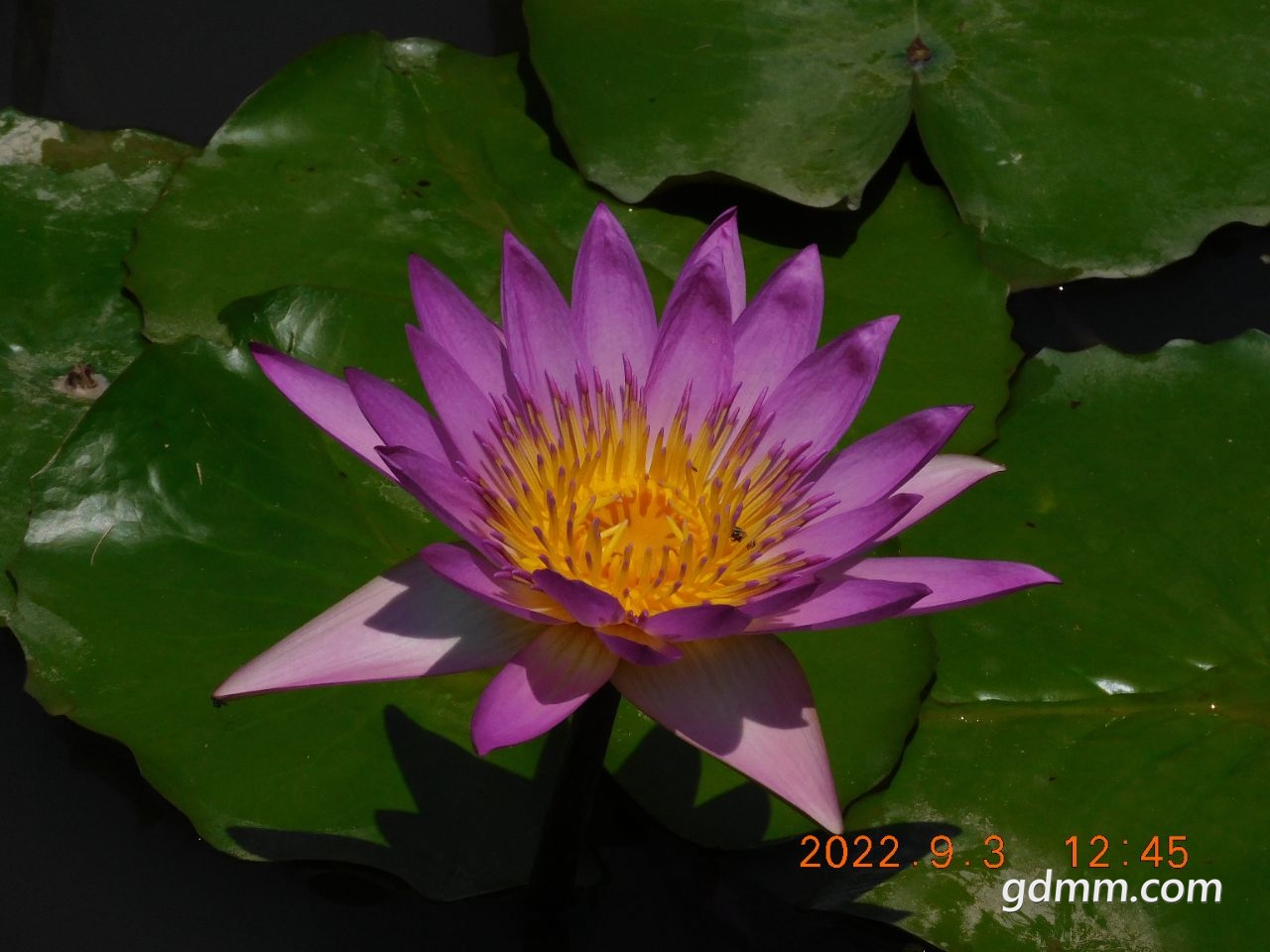 20220903164012front2_0_3377019_FgBxVm4YrHxNKecCXTQJ1IFjtB9s.jpg