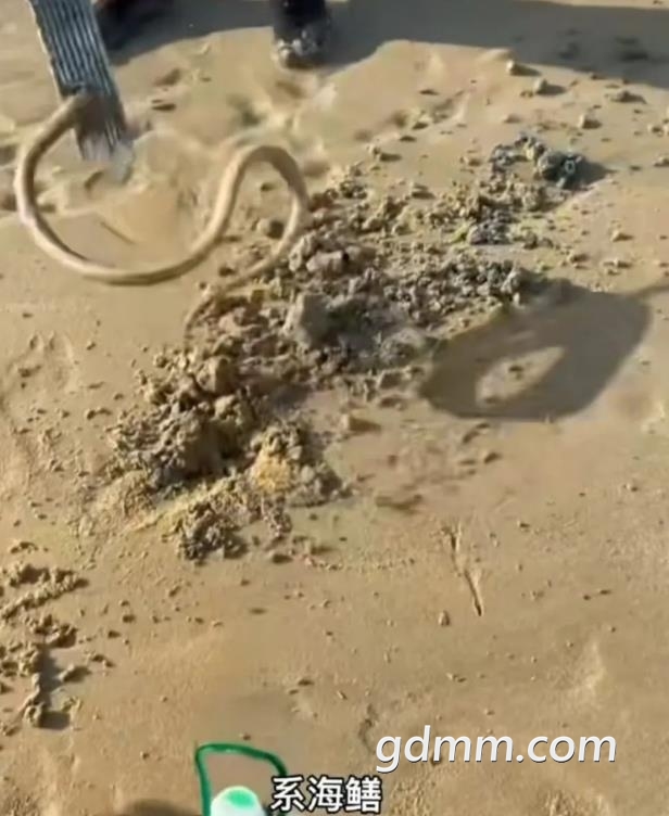 360��ͼ20220908113945686.jpg