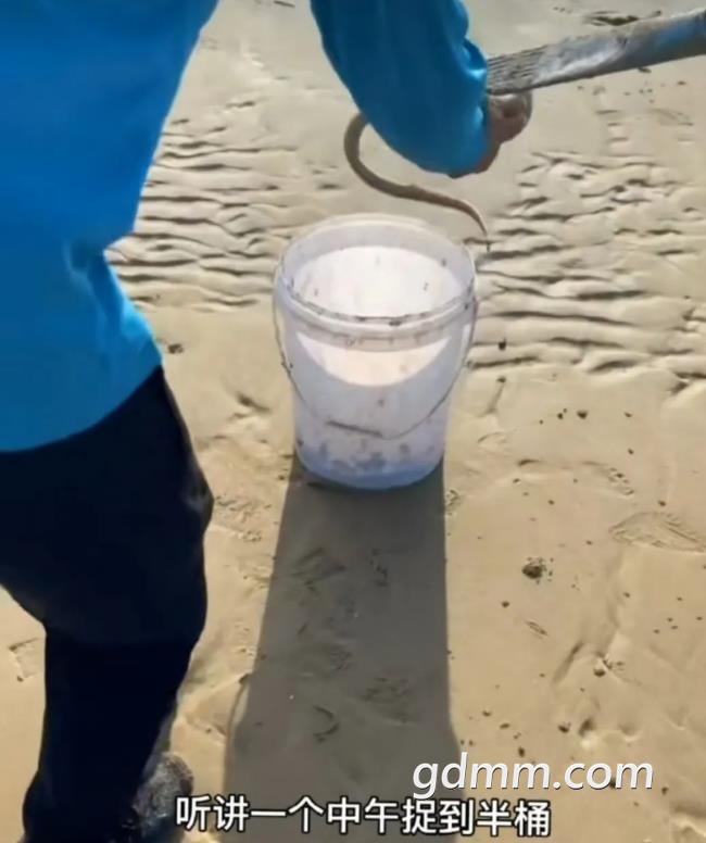360��ͼ20220908113951374.jpg