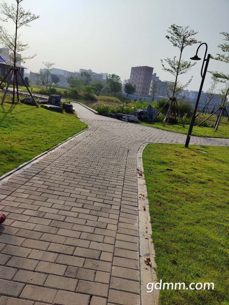 20220911201503front2_0_3380455_Fuj7OJKf6h0uVUrND9_wangM8eDu.jpg