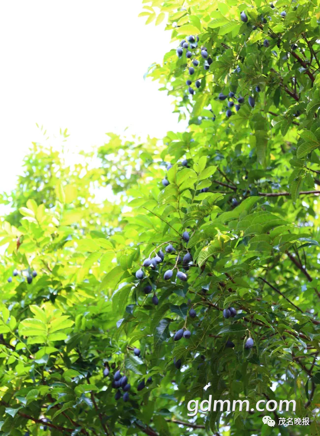 ΢��ͼƬ_20220919151659.png