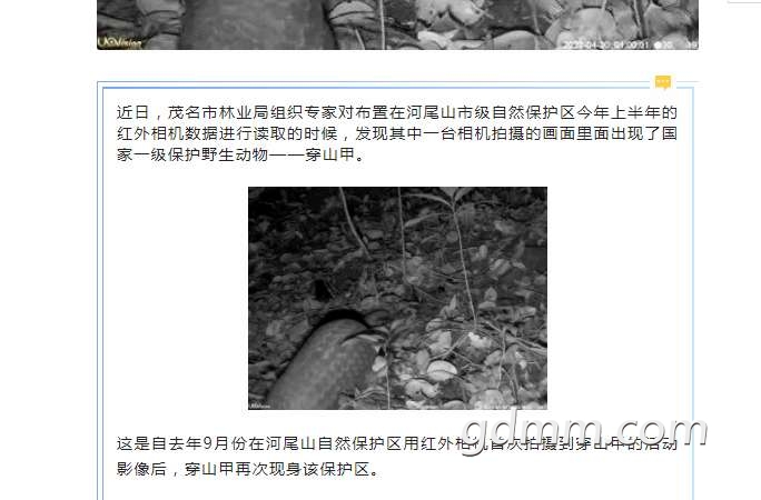 20220920123656front2_0_3287048_FkLbAph-OM7EcsosPQfyVytF18Vu.png
