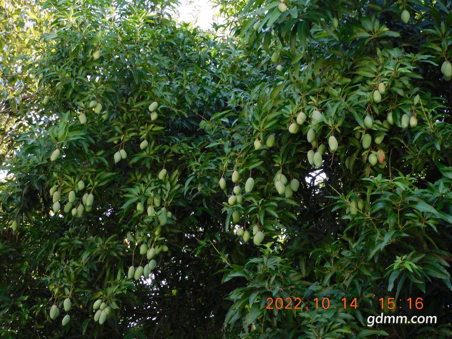 20221014221826front2_0_3377019_Fuxg8S8GpQUhto_qM-TziJEaT2cb.jpg