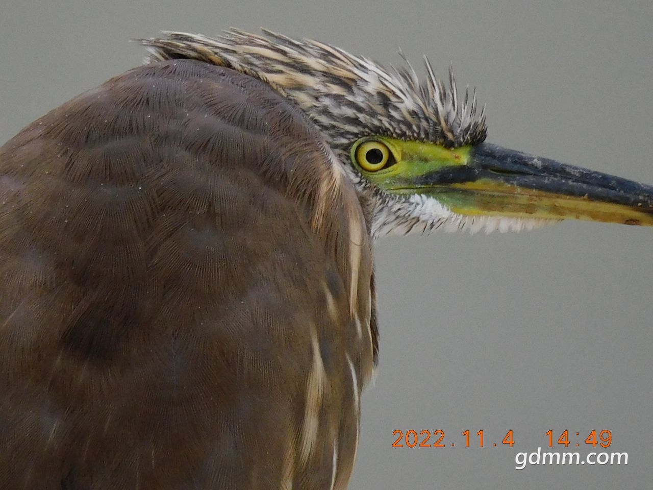 20221104195631front2_0_3377019_FrCURMghRG2ebe-BsM8h7AtnAPyb.jpg