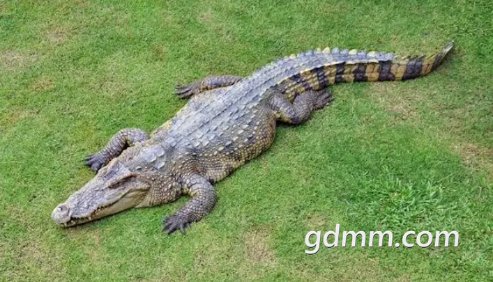 ΢�Ž�ͼ_20220117153141.png