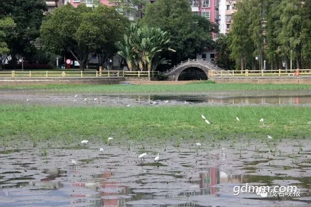 ΢��ͼƬ_20221116154427.jpg