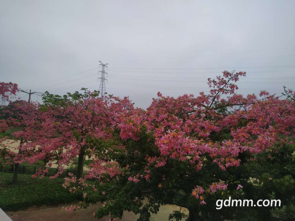 20221125104431front2_0_3297192_FjC0udK31GajlMZk-mw-Z08GSS4C.jpg
