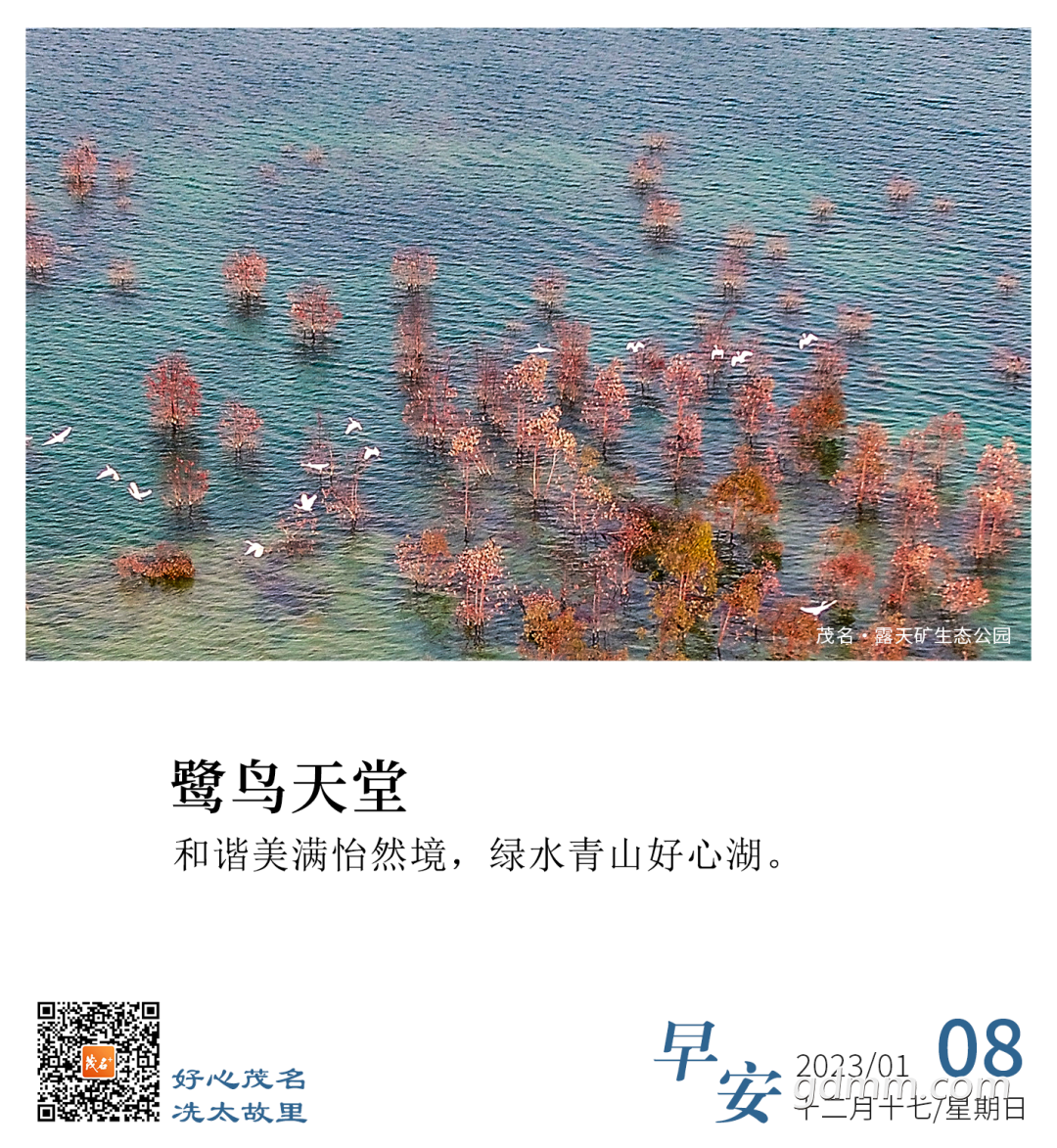 085655v4w707ubo4zou10s.png