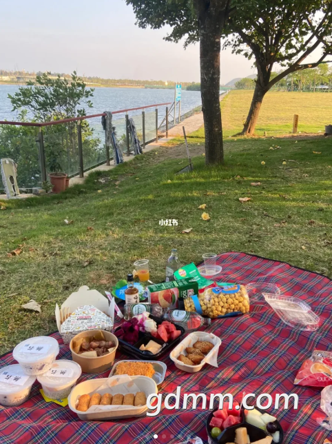 ΢�Ž�ͼ_20230118214839.png