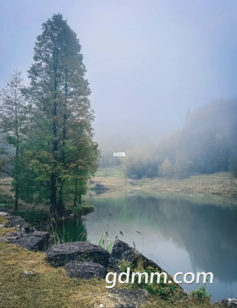 ΢�Ž�ͼ_20230118225916.png