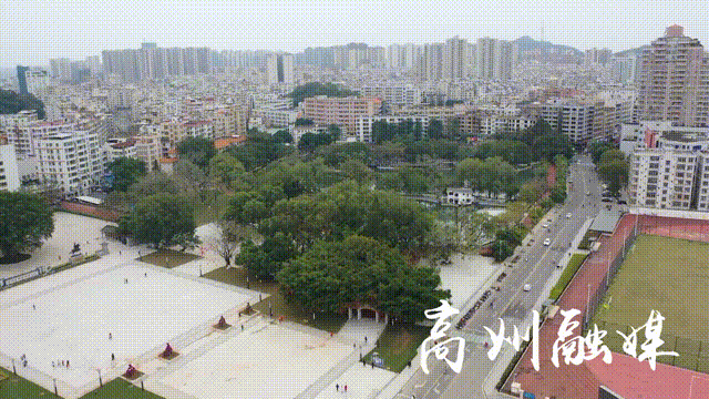 203628ge52jh55xre5ffce.gif