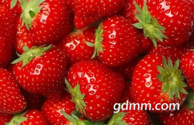 u=630205933,2077407629&fm=253&fmt=auto&app=138&f=JPEG.webp.jpg