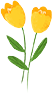 095207ve8871snrx2s52es.png