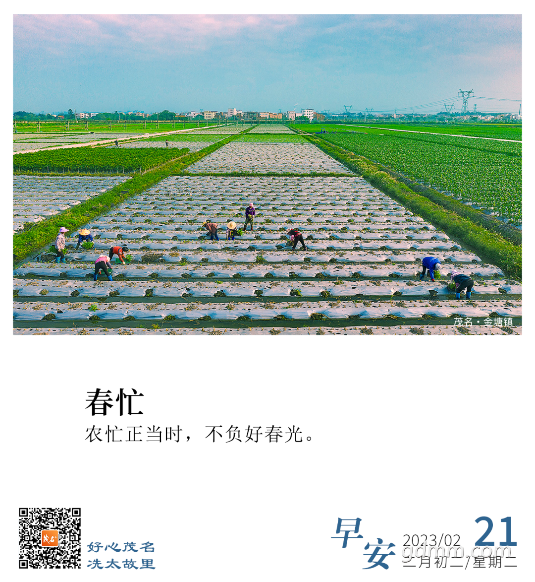 093356ur2pbfjv2k92kt48.png