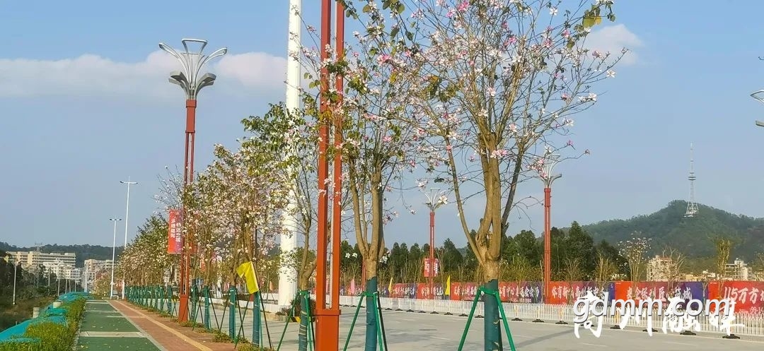 ΢��ͼƬ_20230221120107.jpg
