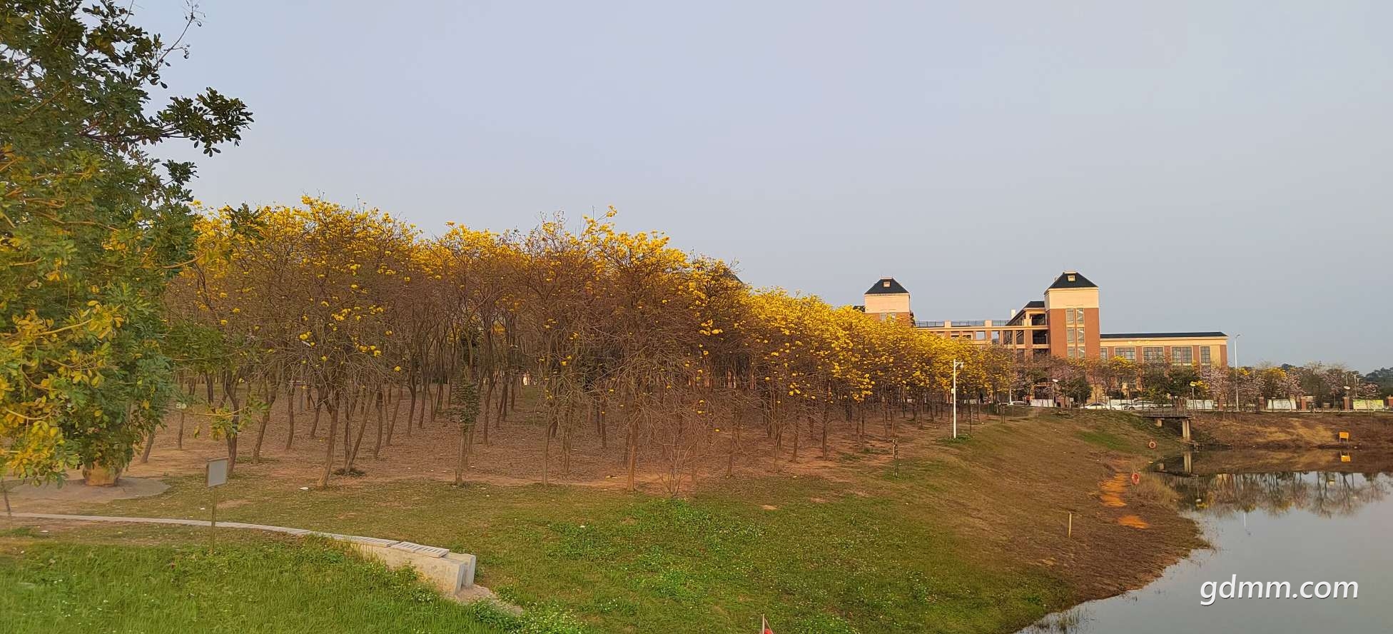 20230227080701front2_0_3273360_Fg5KgCa5zdl9cZv2HLzTOvYn1Yjo.jpg