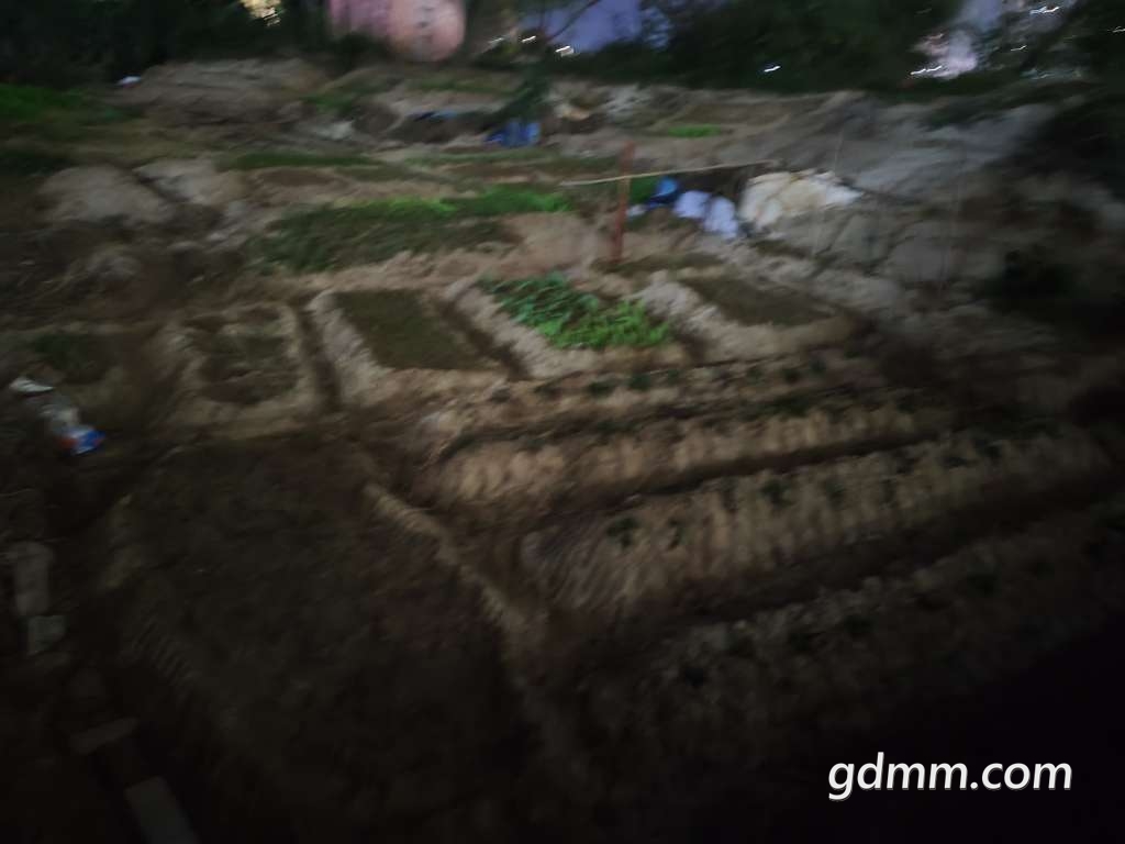 20230227213645front2_0_3297192_Fh1N989aLj0eFCRPEg4TBRiOYZFu.jpg