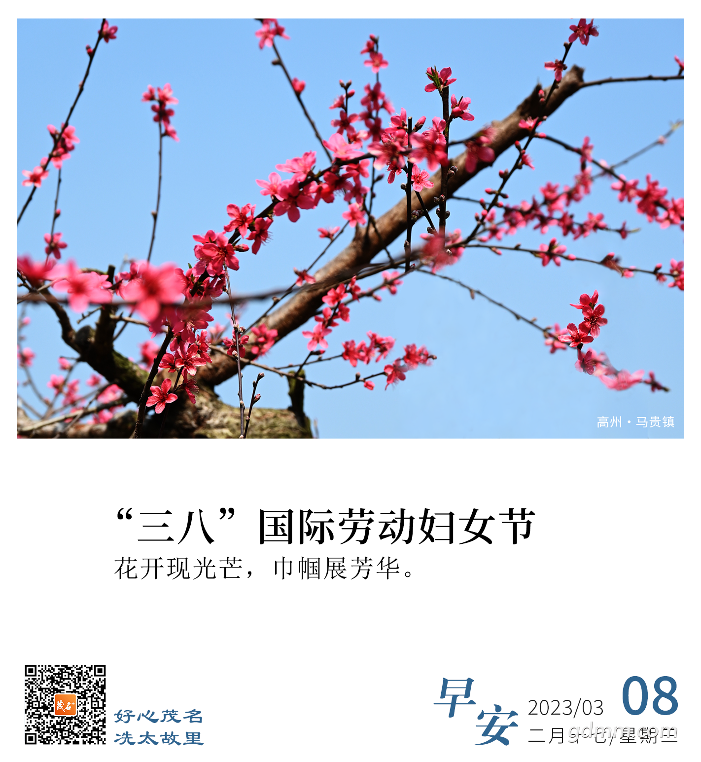 ΢��ͼƬ_20230308092208.png