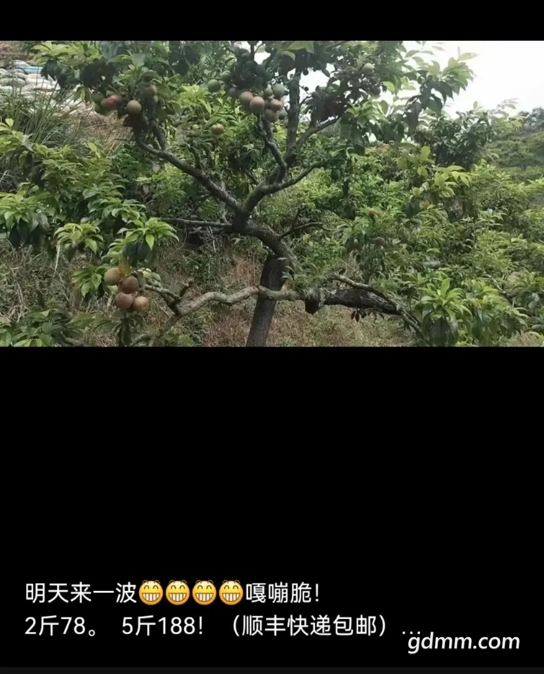 ΢��ͼƬ_20230316210641.jpg
