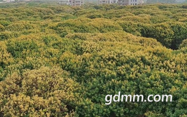 360��ͼ20230320165809435.jpg