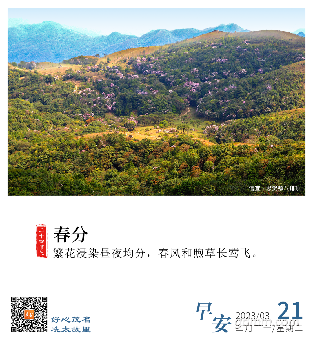 095417lcme0pslptw7eald.png