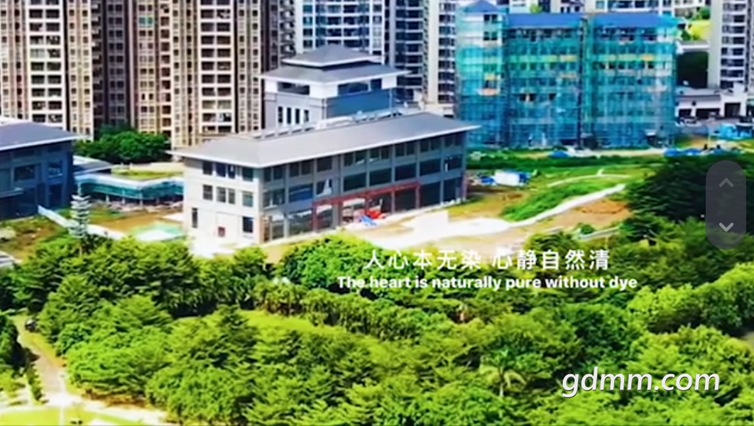 QQ��ͼ20230324224433.png