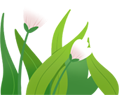 170034nvzntv3zdlpxbasa.png