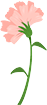 145555u6ncysoyyii2p36z.png