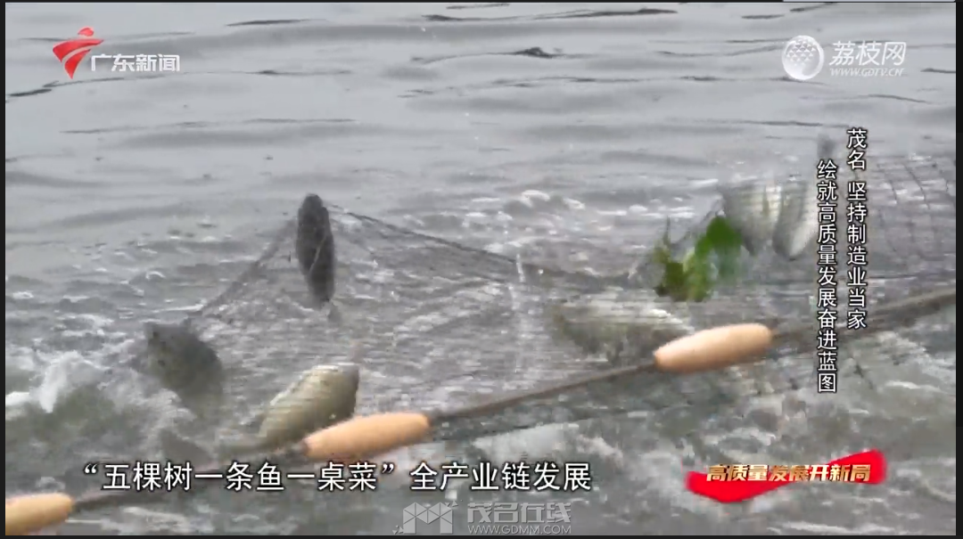 QQ��ͼ20230511214949.png