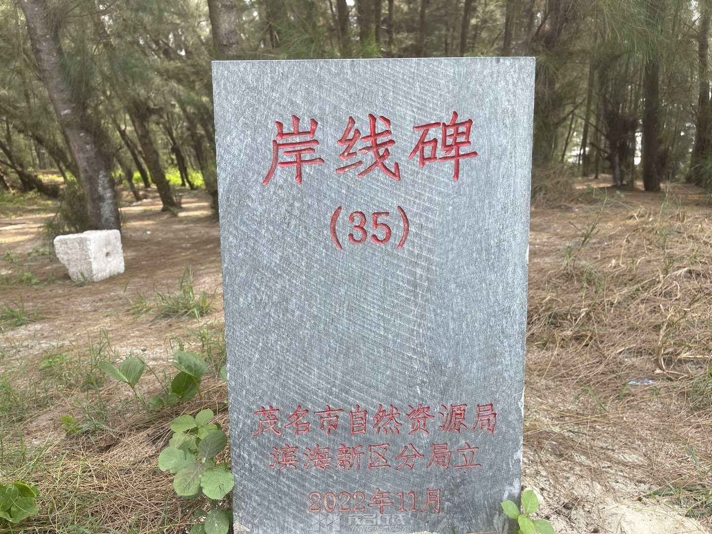 20230517123818front1_0_3277098_FoTqJ7JypJxdSECZCi7ugTZysHig.jpg