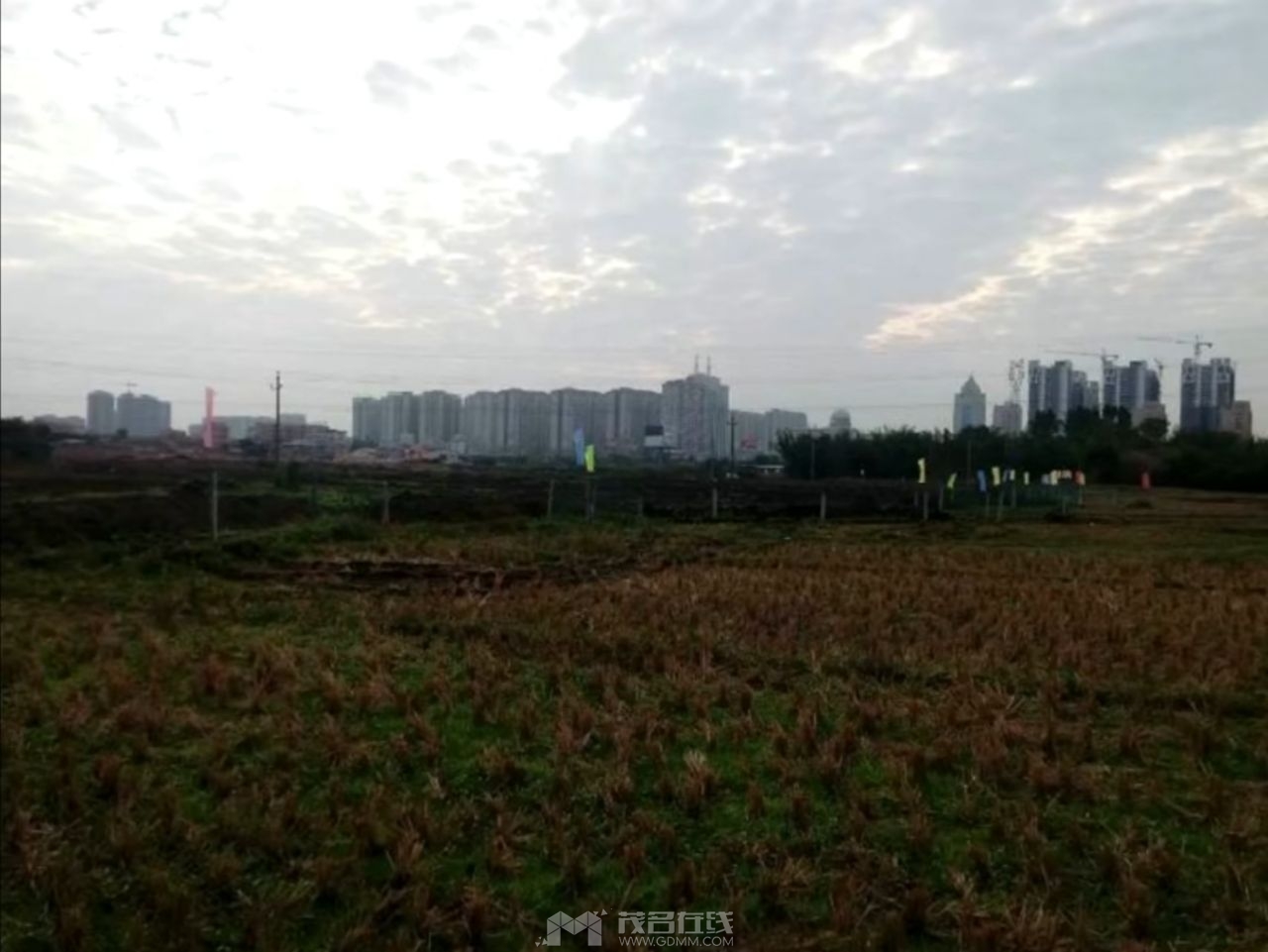 20230520161448front2_0_3348810_FuxpTLogMY3U7x5uKa2dH2kaXPGR.jpg