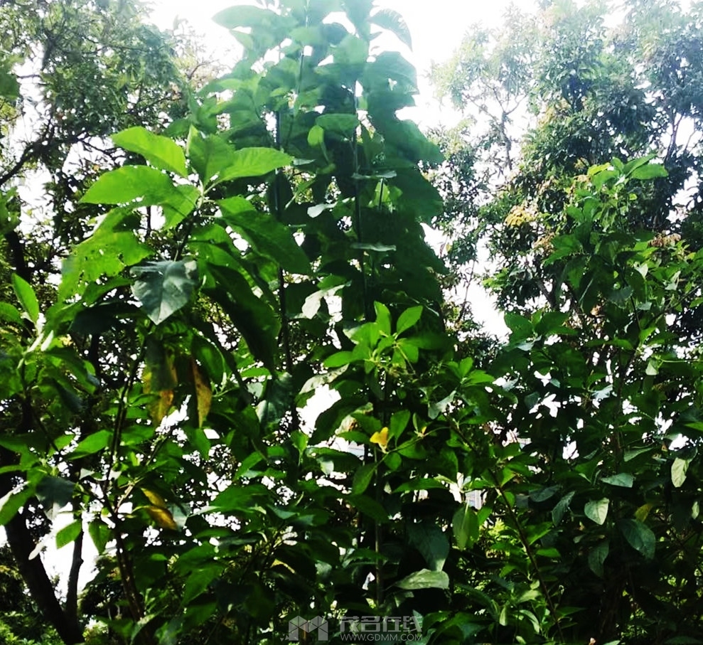 ΢��ͼƬ_20230601163403.jpg