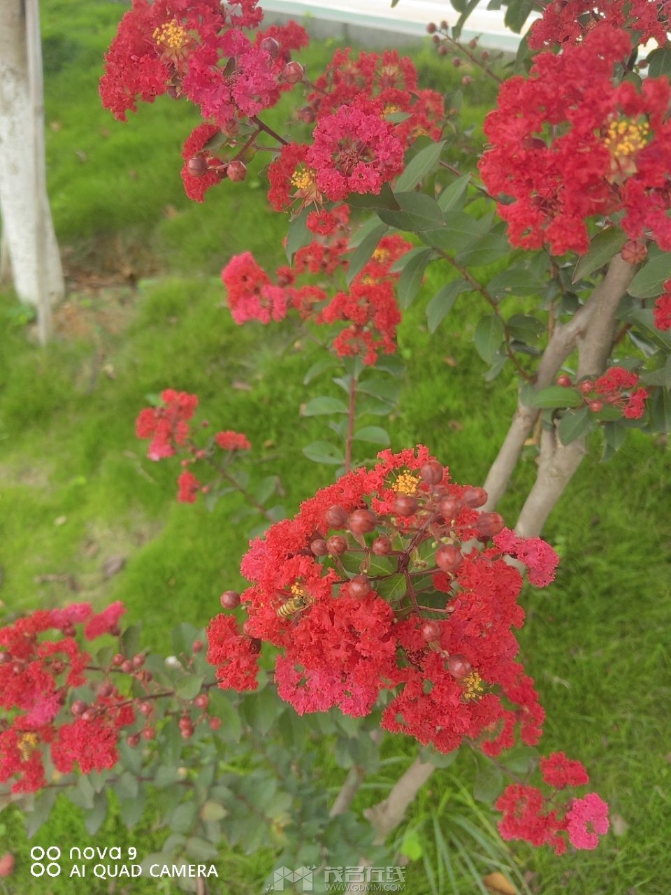 20230620100350front2_0_3377019_Fr4tMcM4hcQ1UqoQx5jX56OY9f9M.jpg