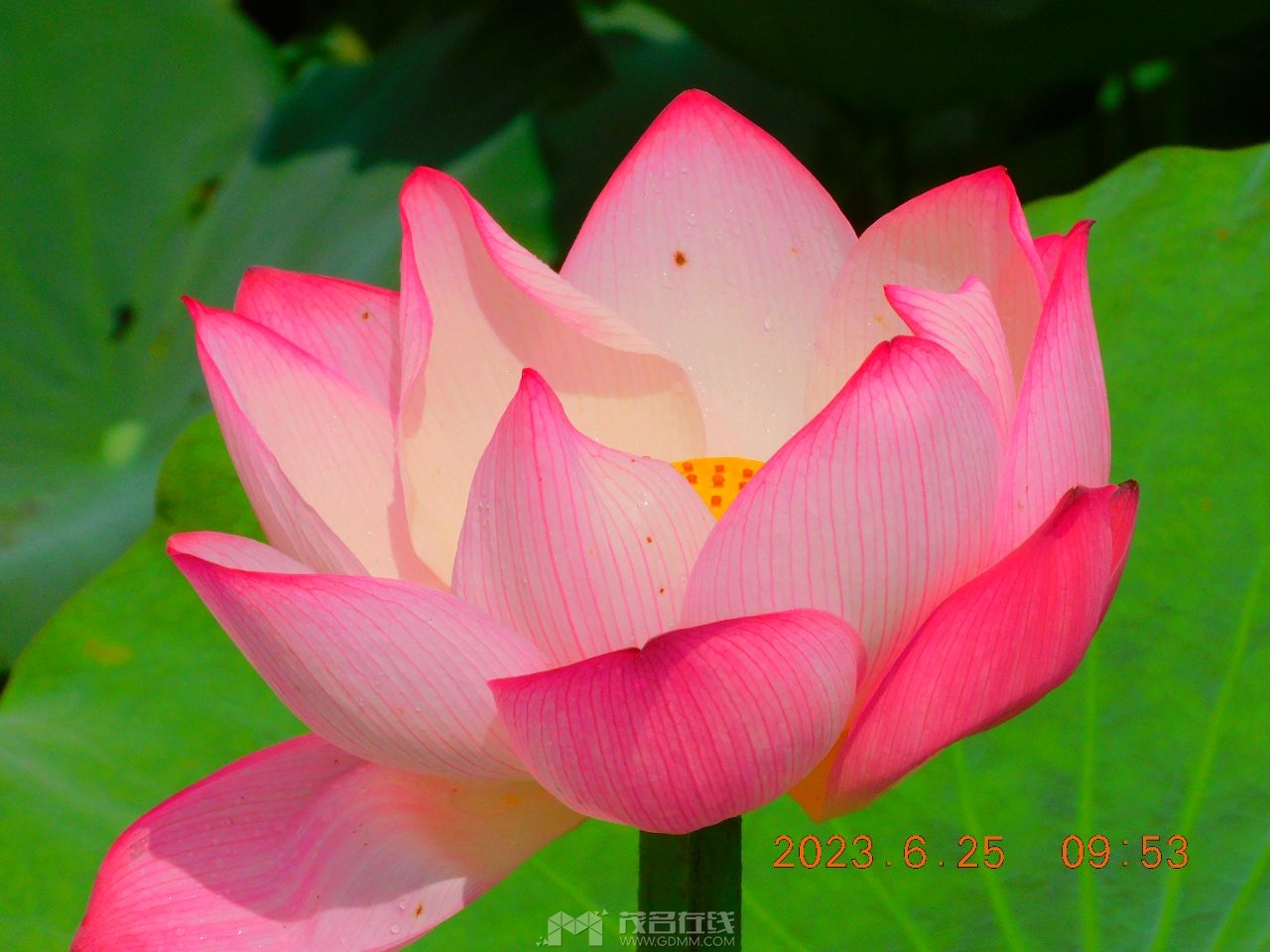 20230705114022front2_0_3377019_FvW6190jWIJFk3ddReb_i8oy5eYT.jpg