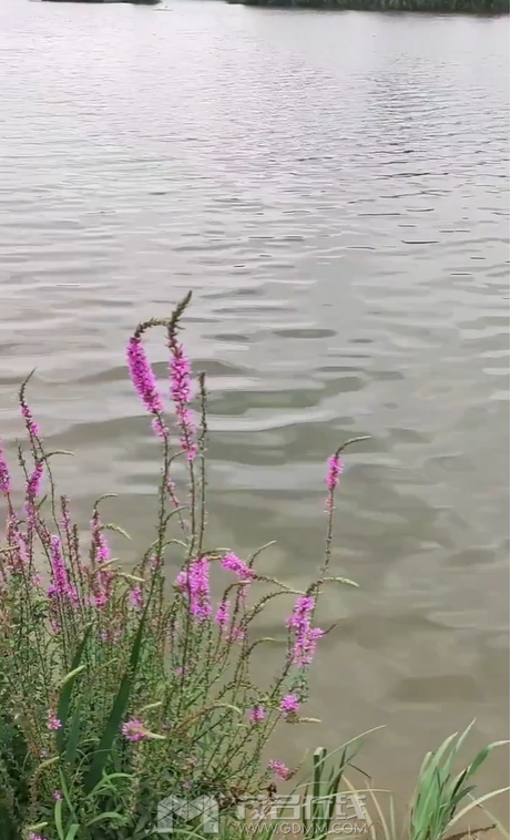 ΢��ͼƬ_20230711195005.png