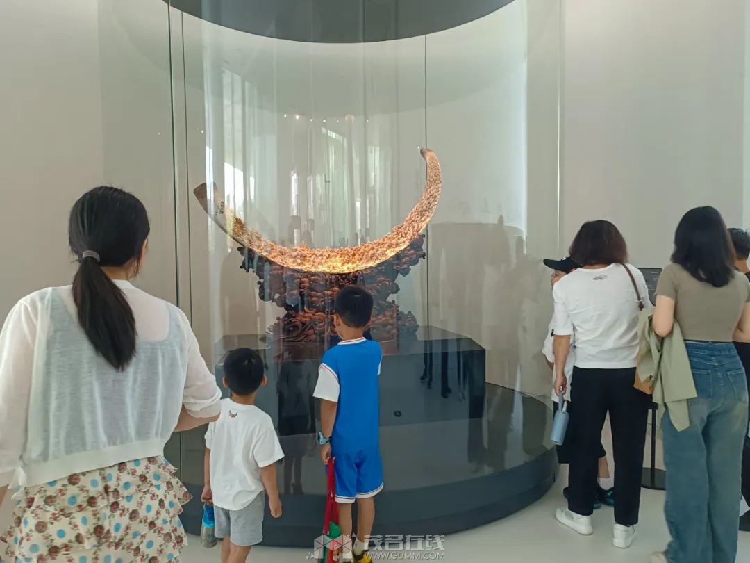 235241irxagw7rx1l4lmzv.jpeg