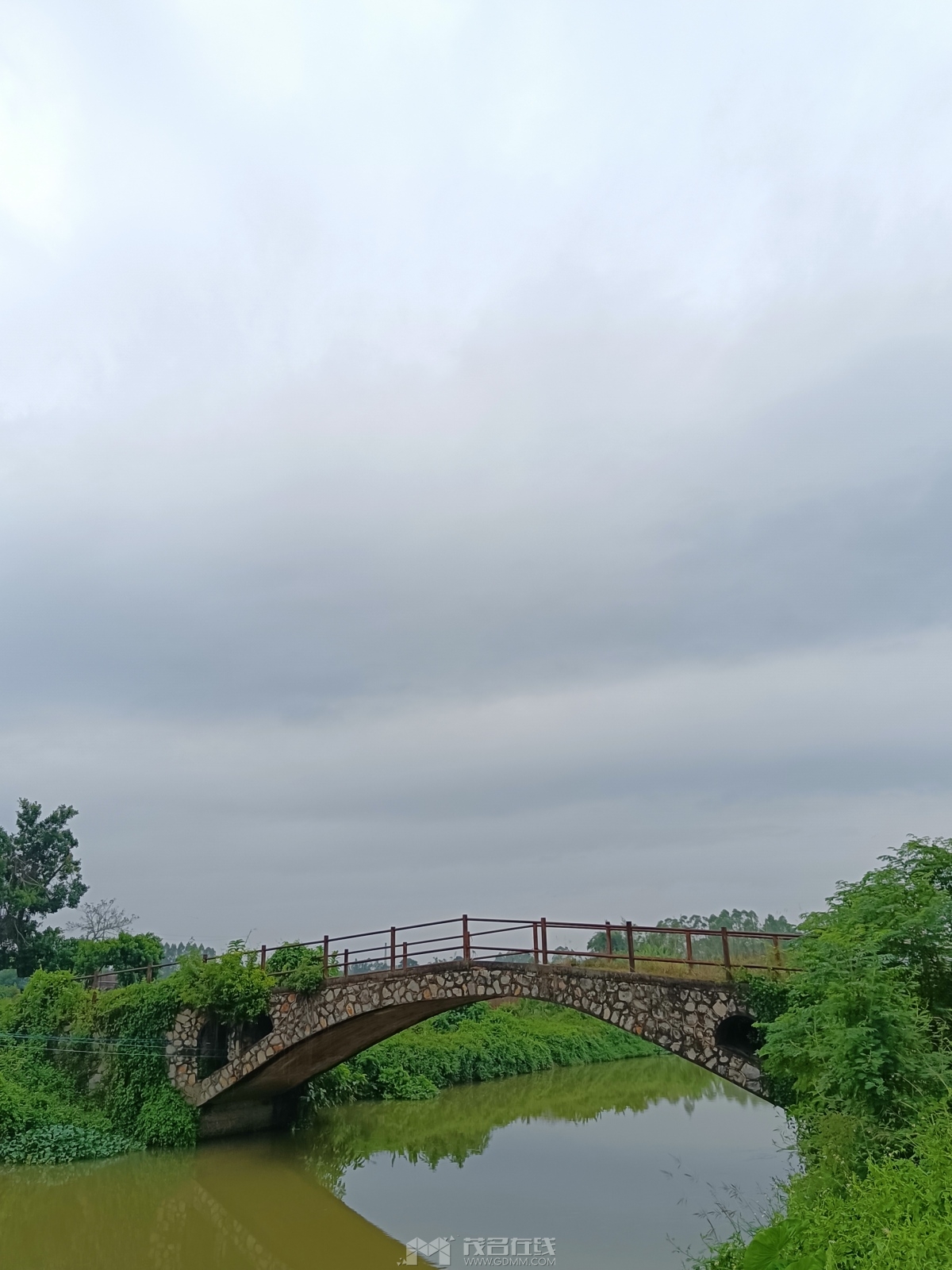 IMG_20231018_090144.jpg