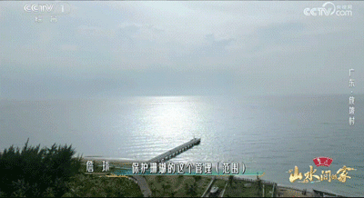 153616tbz5s0dmmnjrazzd.gif