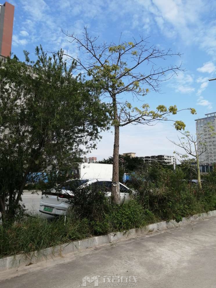 20231113210823front2_0_1016794_FpVCIH_tLV4ougIaPZQ9_A9lJ4Ik.jpg