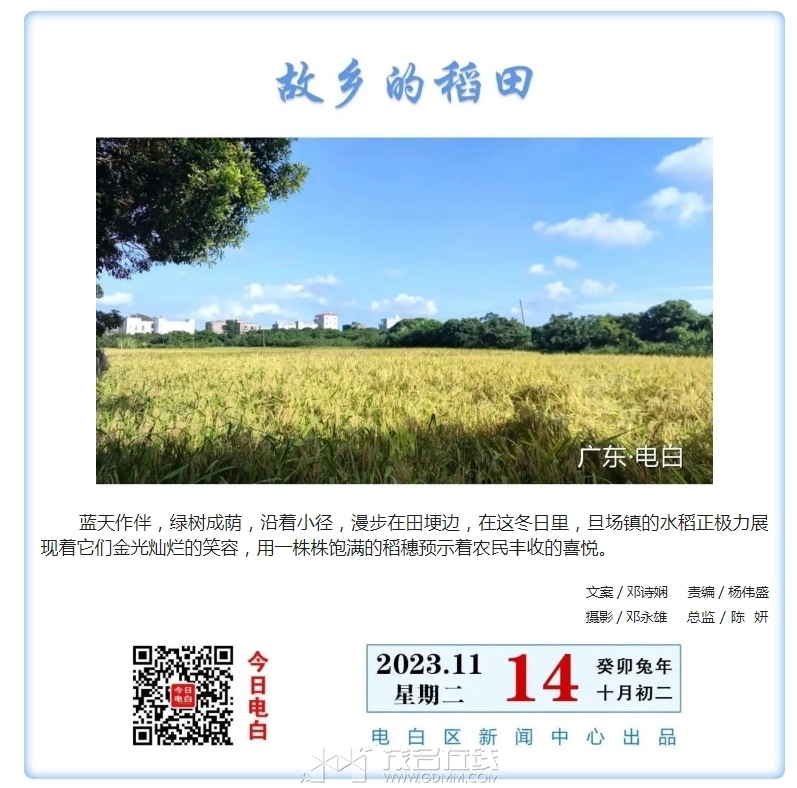 ΢�Ž�ͼ_20231116151430.png