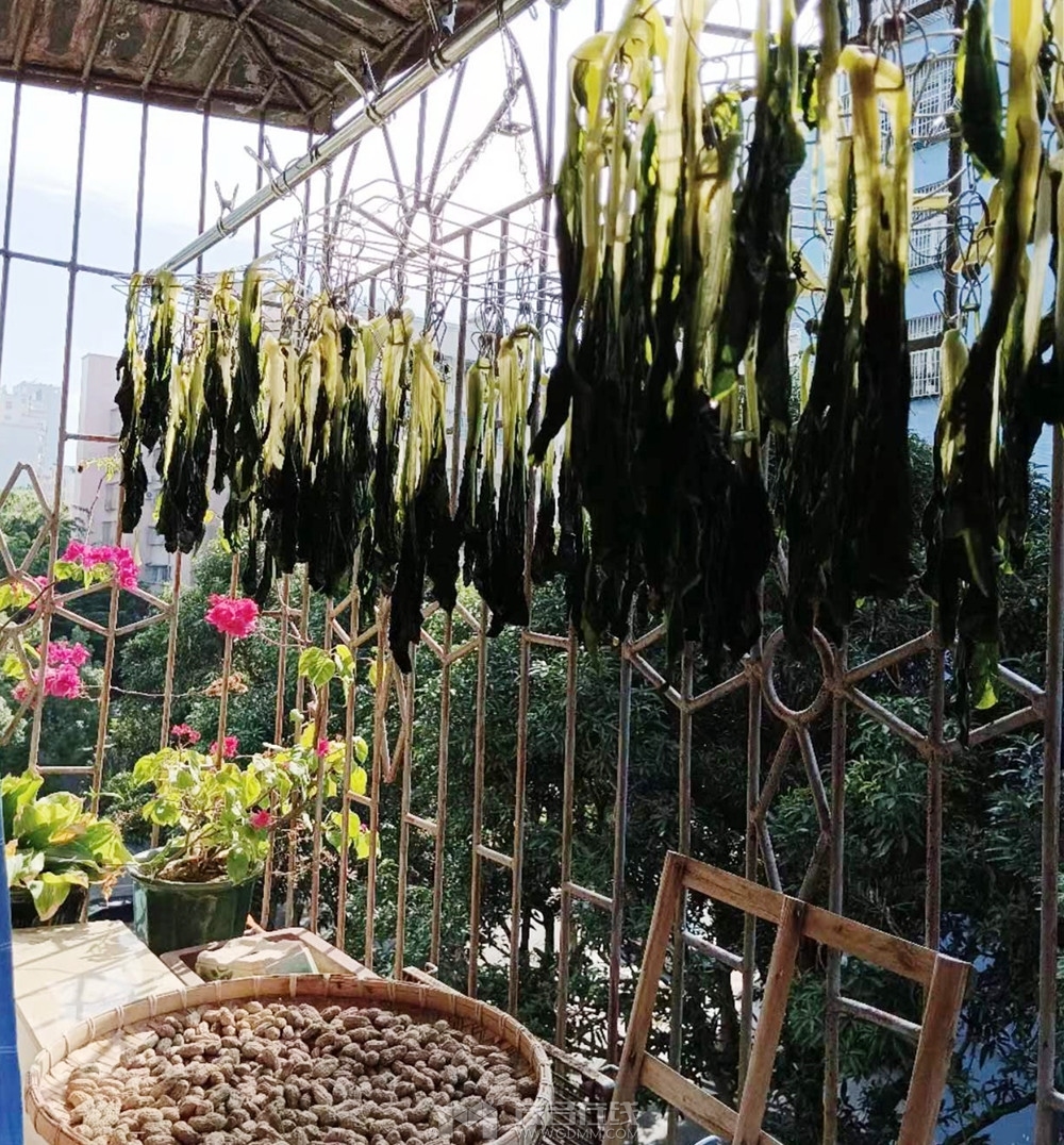 ΢��ͼƬ_20231122105323_����.jpg