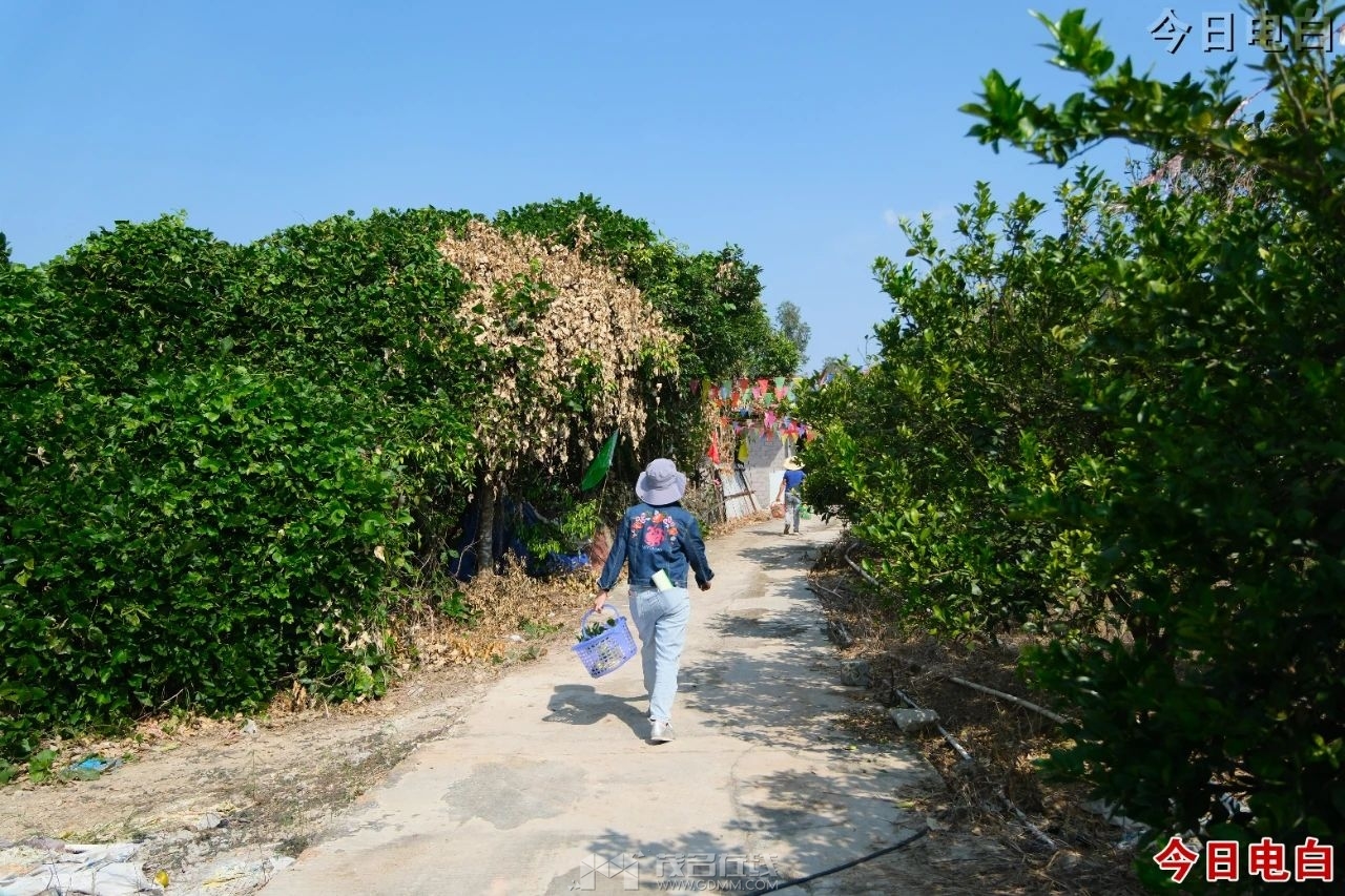 0 (14).jpg